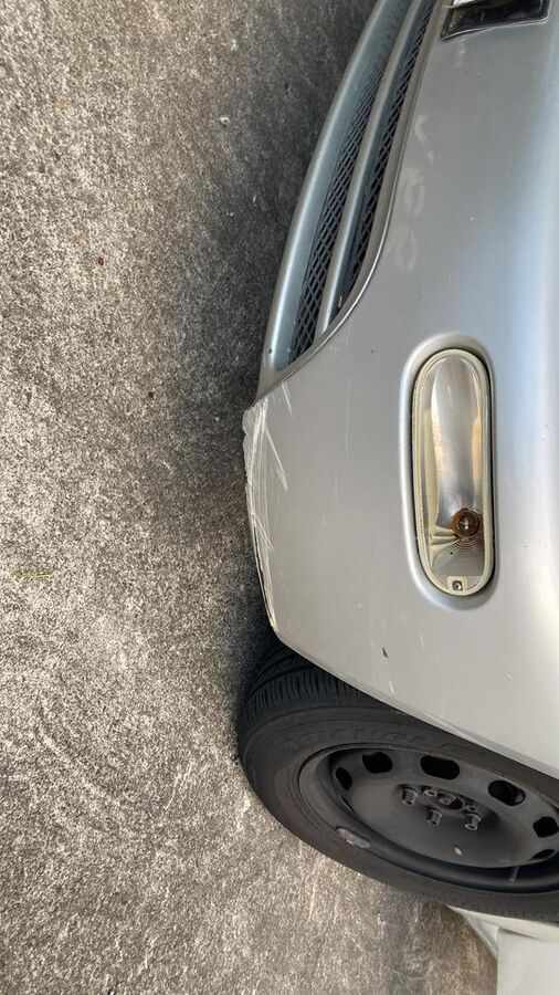 New Beetle (Photo 2)