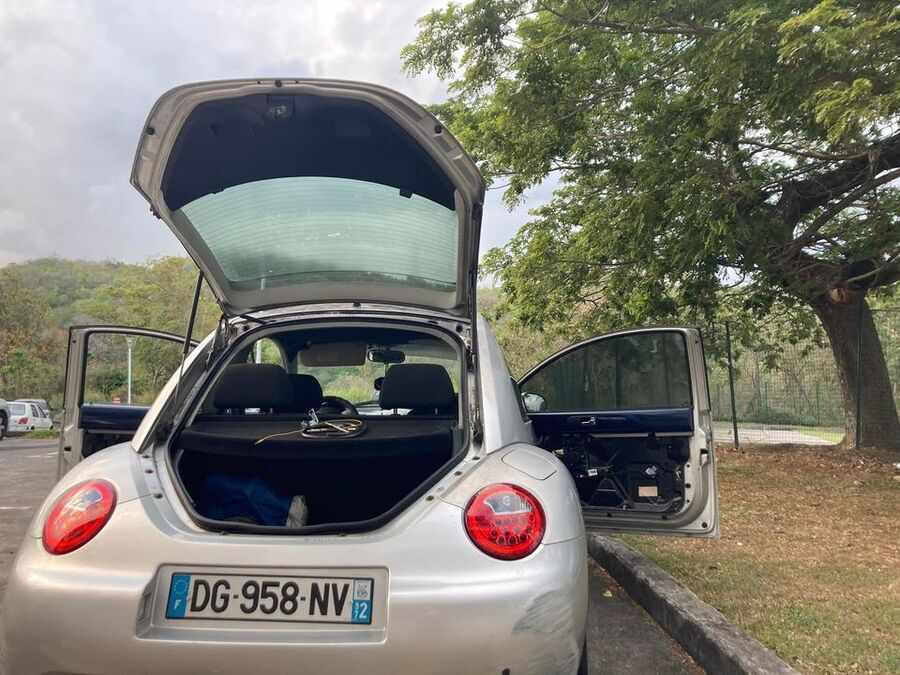 New Beetle (Photo 1)