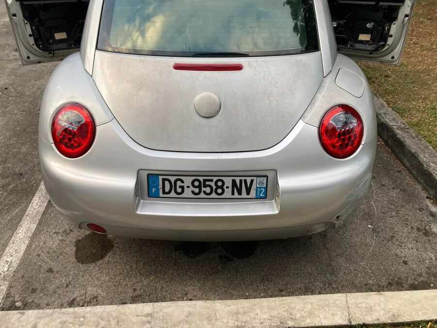 New Beetle (Photo 3)