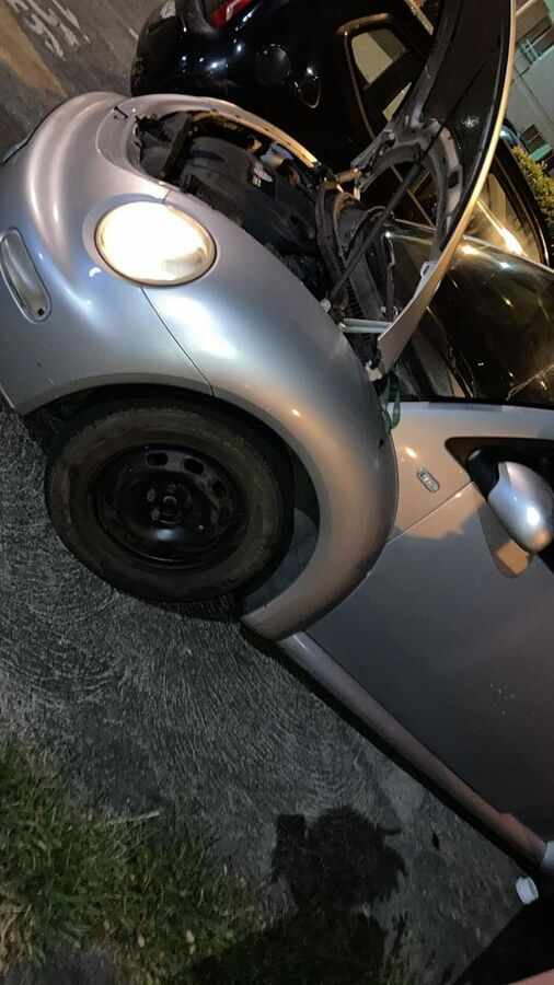 New Beetle (Photo 4)